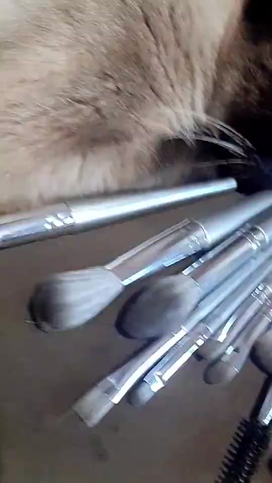 KIT 14 peças Pincéis de Maquiagem Suave