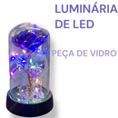 Rosa Encantada com LED Acrílico Presente Dia das Mães Namorados Mulher Rosa Eterna Decorativa